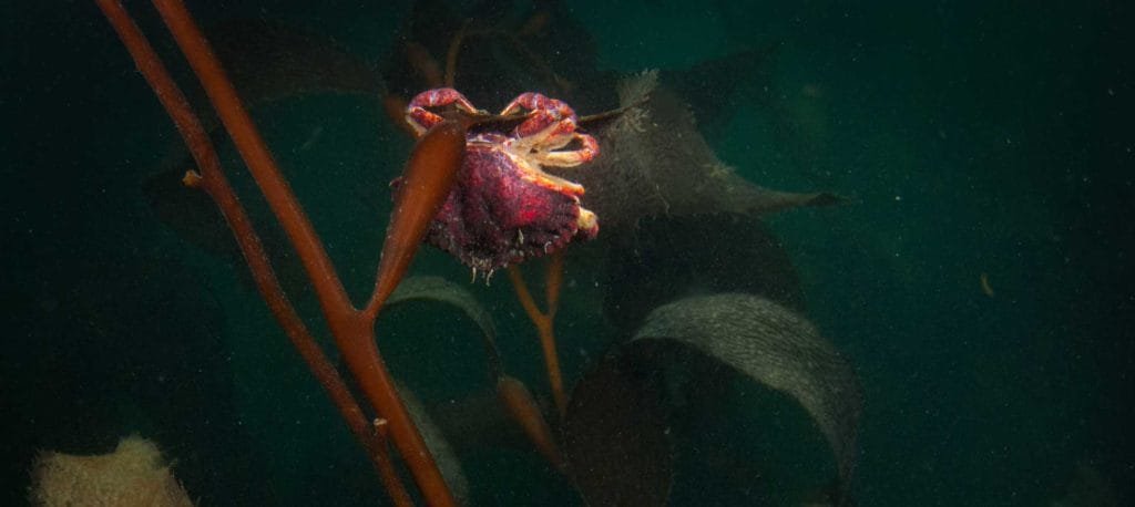 Friends in Cold Places