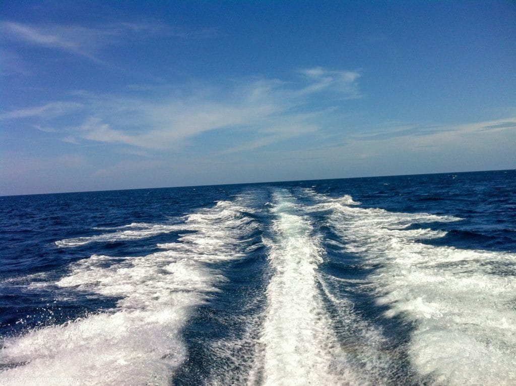 AJ Fishing Kieth and John