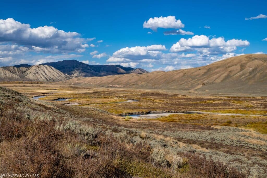 Cut Throat Trout in The Tetons
